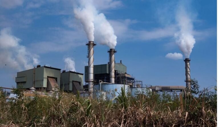 Punjab Sees Food Inflation as Flour, Sugar Prices Climb