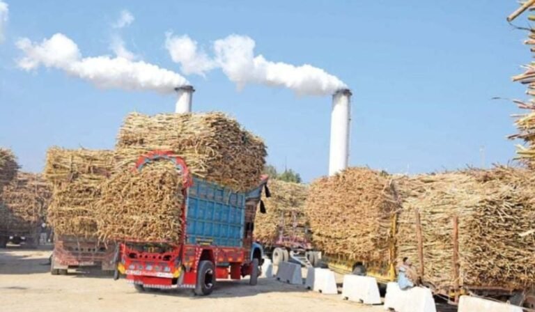 Audit Finds Sugar Mills Owe Farmers Over Rs3 Billion