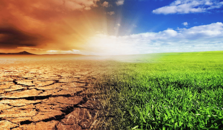 OICCI Releases Comprehensive Report on Climate Finance