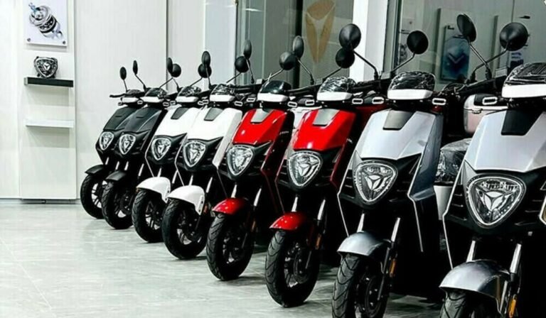 ECC Approves Rs9 Billion Subsidy to Boost Electric Vehicles