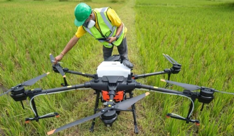 High-Tech Push to End Crop Data Confusion in Pakistan