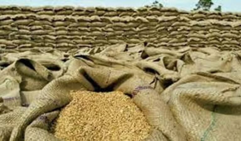 Punjab Deregulation Blamed for Wheat Price Spike