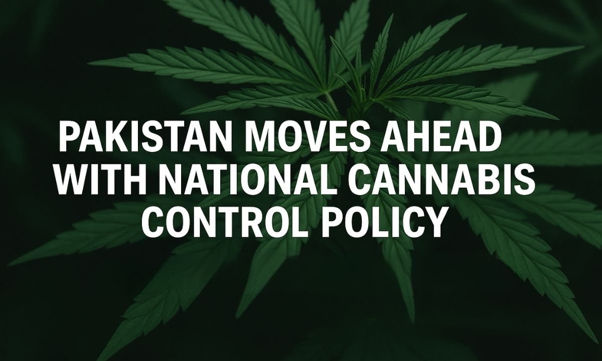 National Cannabis Policy 2025